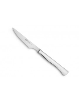 Couteau à steak acier inox forgé 110 mm