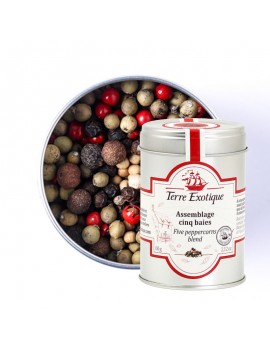 Assemblage cinq baies 60 g