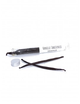 Tube de gousses de vanille Equateur +15 cm Tahitensis