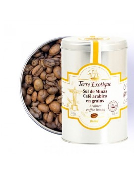 Sul de Minas Café Arabica en grains Brésil Vrac