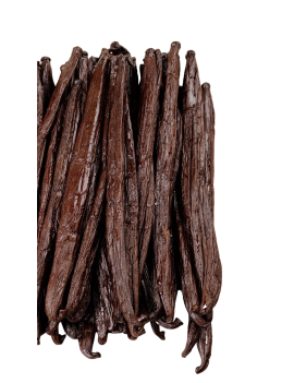Gousses de vanille Planifolia Ouganda
