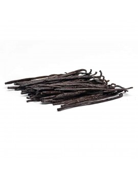 Gousses de vanille Planifolia Bourbon +15 cm Grandes Comores