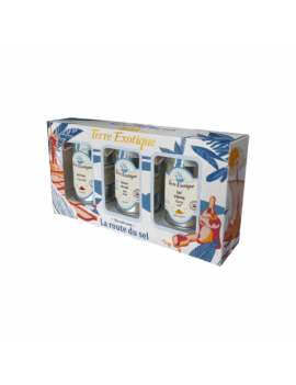 Coffret épices : La route du sel TERRE EXOTIQUE