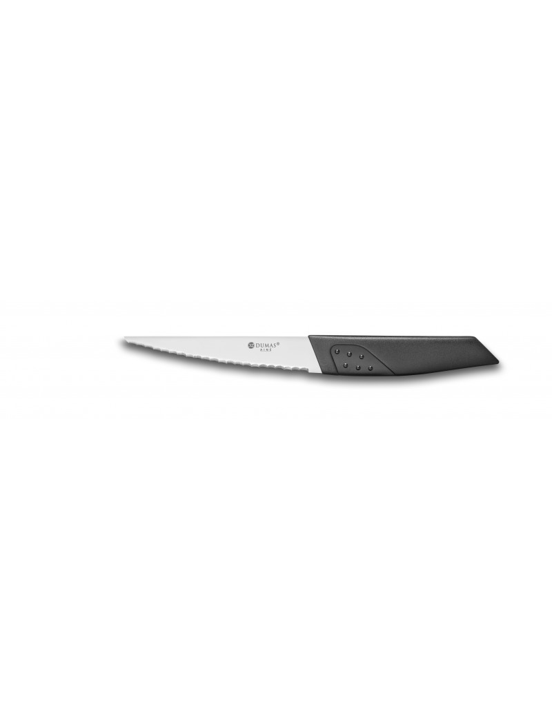 Couteau à steak Evolution lame microdentée 32Dumas® 32 DUMAS Couteau à steak Evolution lame microdentée 32Dumas® 32 DUMAS