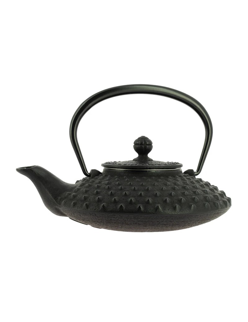 Théière Iwachu Kanbin 500 ml - 3 à 4 tasses IWACHU