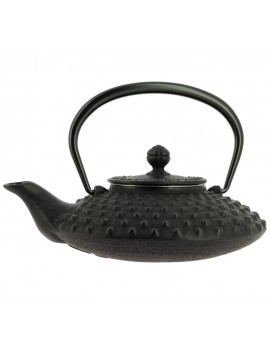 Théière Iwachu Kanbin 500 ml - 3 à 4 tasses IWACHU