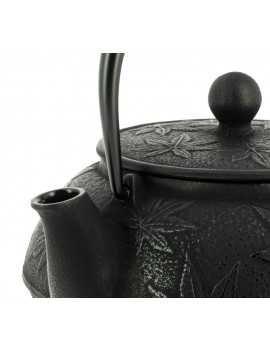 Théière Iwachu KAEDE 650 ml - 4 à 5 tasses IWACHU