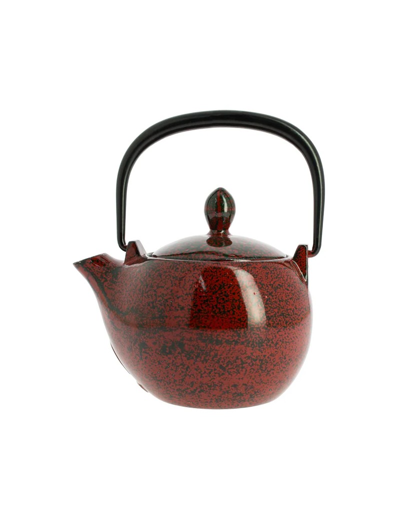 Théière Iwachu URUSHI 300 ml - 2 tasses IWACHU