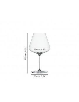 Coffret 4 verres à Bourgogne en Cristal Definition - Le Spiegelau Burgundy SPIEGELAU