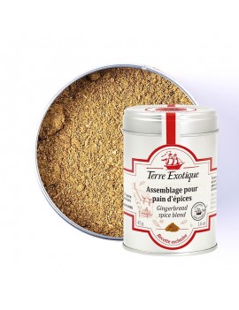 Assemblage pour pain d'épices 45 g TERRE EXOTIQUE