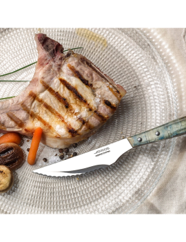 Couteau à steak bois de peuplier bleuté cranté 110 mm ARCOS