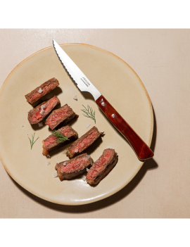 Couteau à steak bois lame crantée 110 mm Gregorio ARCOS