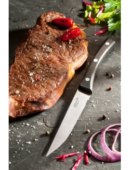 Couteau à steak Brasserie 12 cm DEGLON