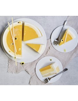 Disque Plissé Pillivuyt