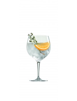 4 verres Gin & Tonic SPIEGELAU