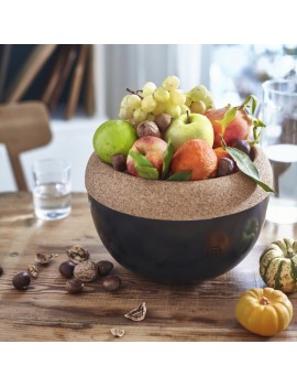 Coupe de conservation à fruits 27 cm EMILE HENRY