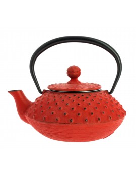Théière Iwachu Kanbin 320 ml - 1à 2 tasses IWACHU