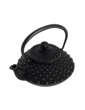 Théière Iwachu Kanbin 320 ml - 1à 2 tasses IWACHU