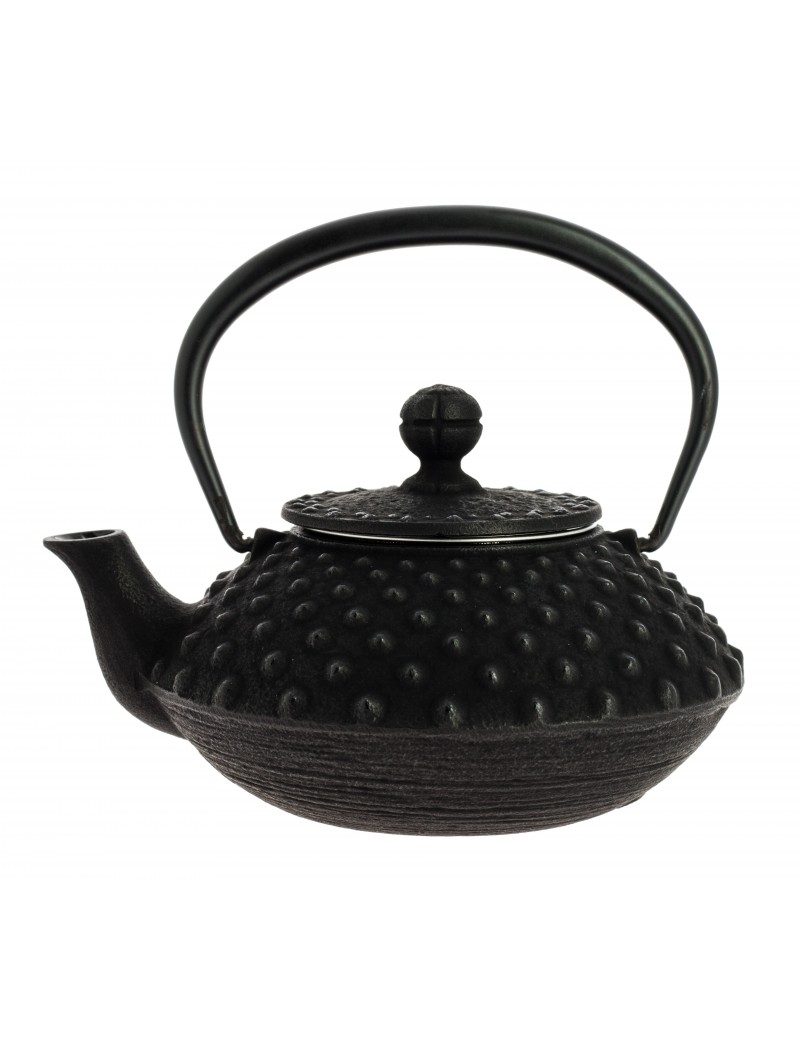 Théière Iwachu Kanbin 320 ml - 1à 2 tasses IWACHU