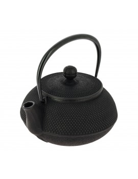 Théière Iwachu Arare 650 ml - 4 tasses IWACHU