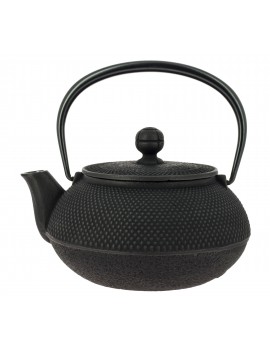 Théière Iwachu Arare 650 ml - 4 tasses IWACHU