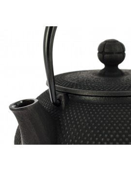 Théière Iwachu Arare 650 ml - 4 tasses IWACHU