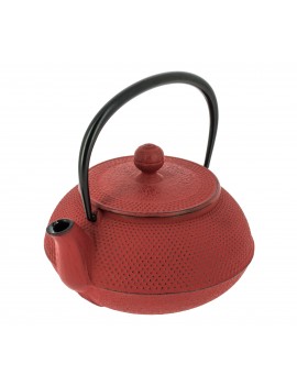 Théière Iwachu Arare 650 ml - 4 tasses IWACHU