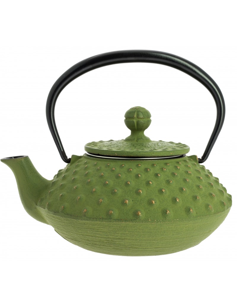 Théière Iwachu Kanbin 320 ml - 1à 2 tasses IWACHU