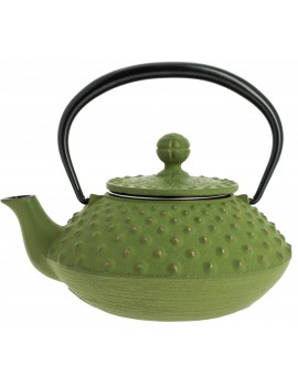 Théière Iwachu Kanbin 320 ml - 1à 2 tasses IWACHU