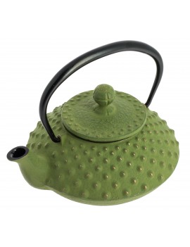 Théière Iwachu Kanbin 320 ml - 1à 2 tasses IWACHU