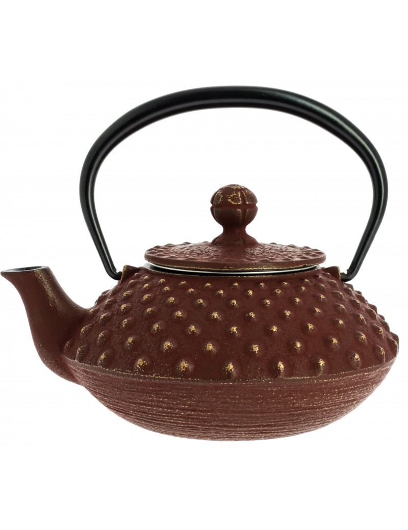 Théière Iwachu Kanbin 320 ml - 1à 2 tasses IWACHU