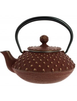 Théière Iwachu Kanbin 320 ml - 1à 2 tasses IWACHU