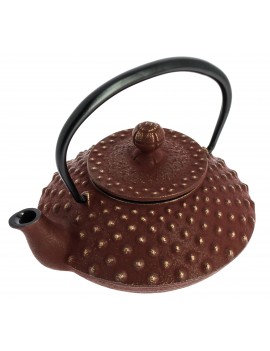 Théière Iwachu Kanbin 320 ml - 1à 2 tasses IWACHU