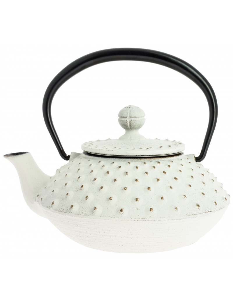 Théière Iwachu Kanbin 320 ml - 1à 2 tasses IWACHU