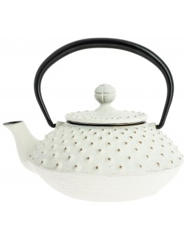 Théière Iwachu Kanbin 320 ml - 1à 2 tasses IWACHU