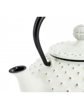 Théière Iwachu Kanbin 320 ml - 1à 2 tasses IWACHU