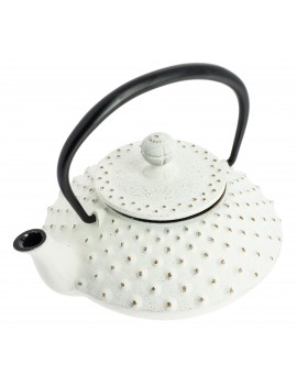 Théière Iwachu Kanbin 320 ml - 1à 2 tasses IWACHU