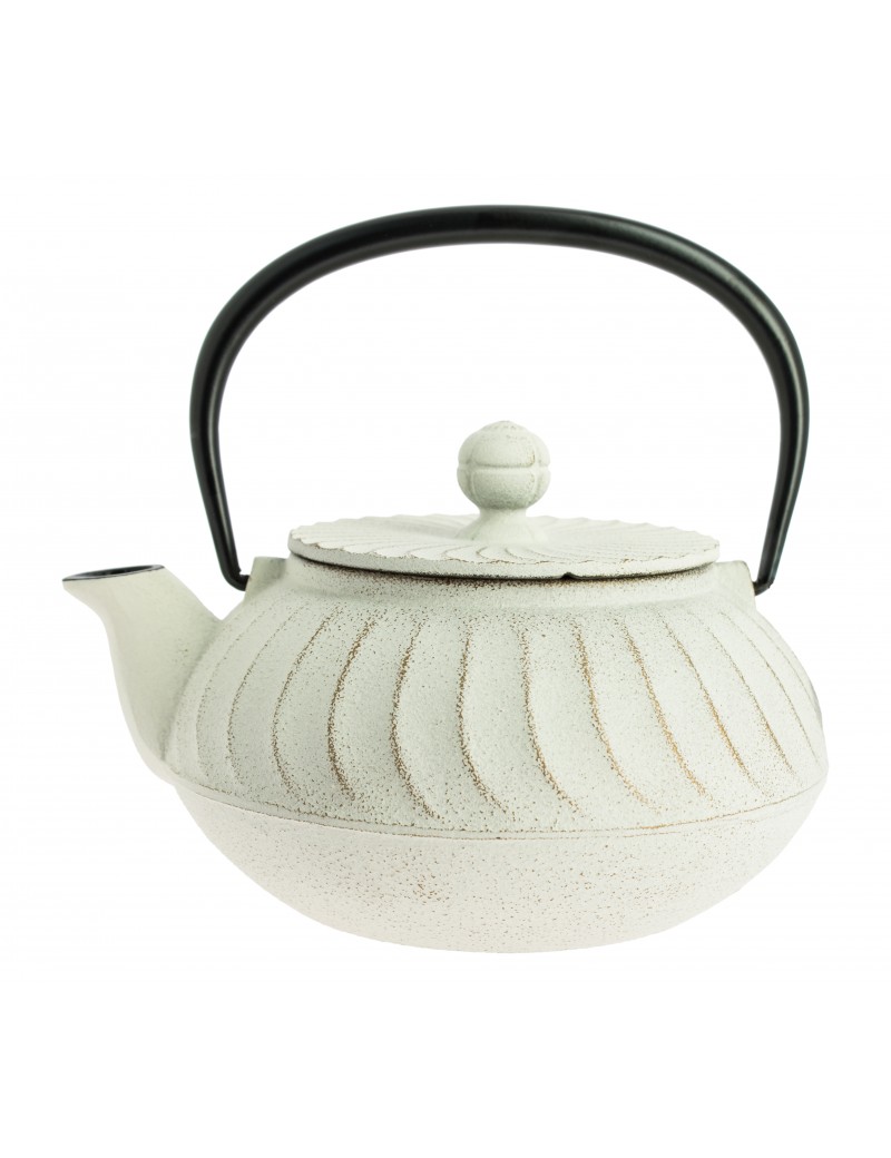 Théière Iwachu Nami 650 ml - 4 tasses IWACHU