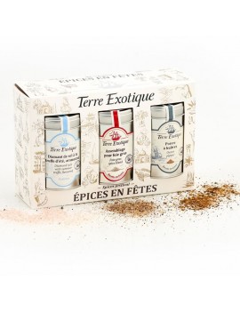 Coffret épices : Epices en fêtes TERRE EXOTIQUE