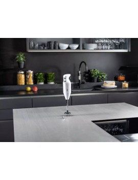 Mixeur Bamix M160 ONE - 1 embout BAMIX