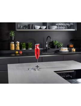 Mixeur Bamix M350 MAXX - 4 embouts BAMIX