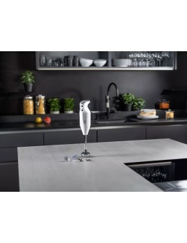 Mixeur Bamix M350 MAXX - 4 embouts BAMIX