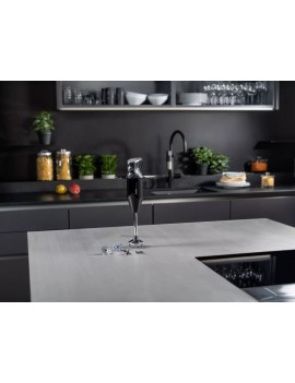 Mixeur Bamix M350 MAXX - 4 embouts BAMIX