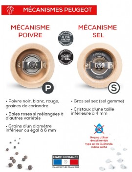 Mécanismes PEUGEOT SAVEURS