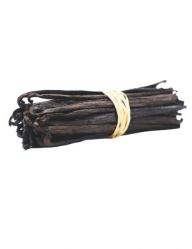 Gousses de vanille Planifolia Ouganda AUTHENTIC PRODUCTS