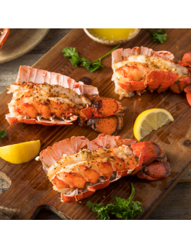 Kari-Brest 50 g TERRE EXOTIQUE