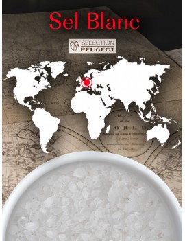 Cristaux de sel blanc Allemagne - 350 g PEUGEOT SAVEURS