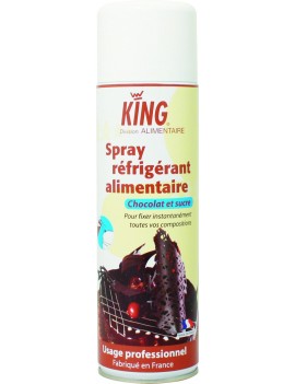 Spray réfrigérant professionnel 500ml KING