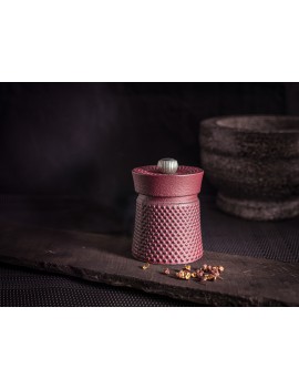 Moulin à poivre en fonte - Bali PEUGEOT SAVEURS