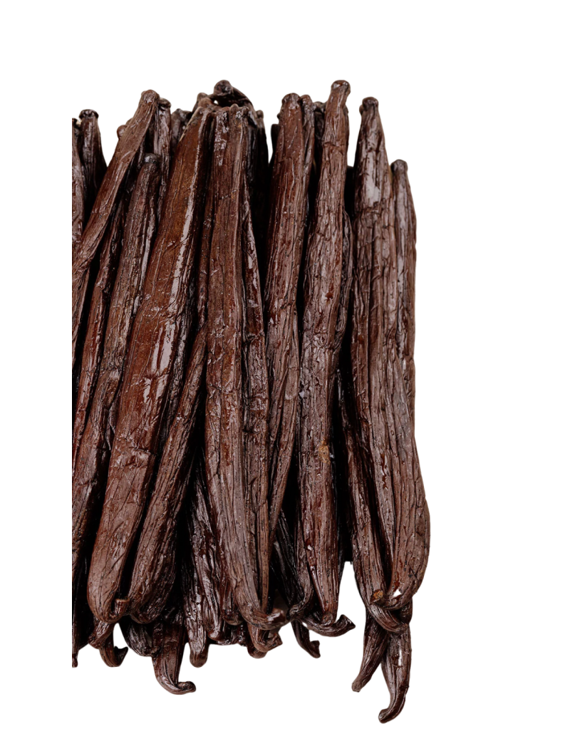 Gousses de vanille Planifolia Ouganda AUTHENTIC PRODUCTS